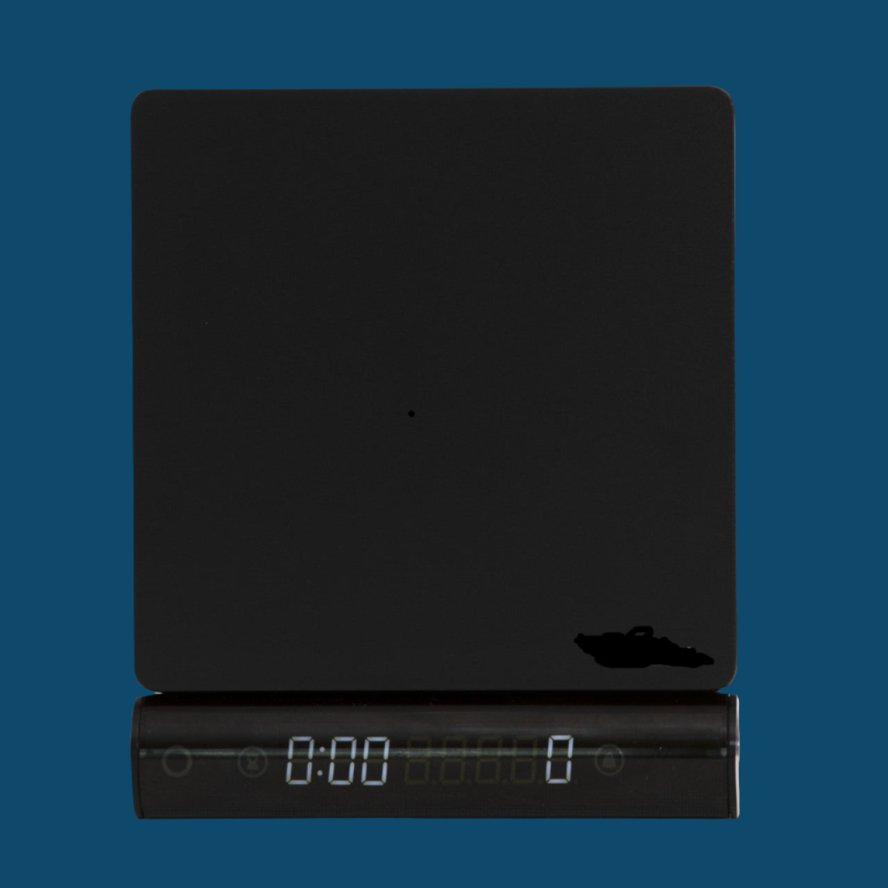 Scale